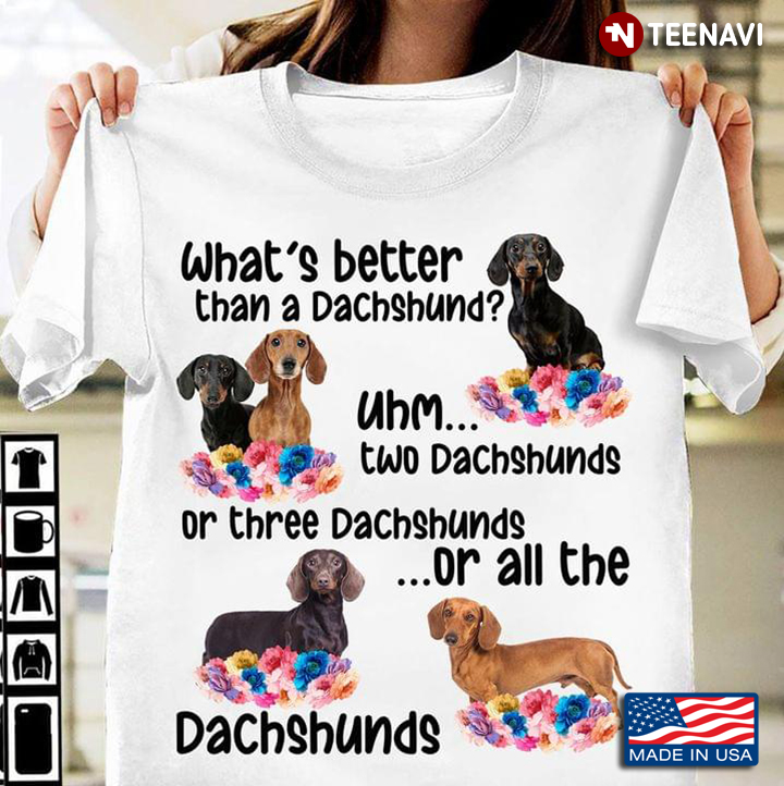 Whats Better Than A Dachshund Uhm Two Dachshunds Or Three Dachshunds Or All The Dachshunds