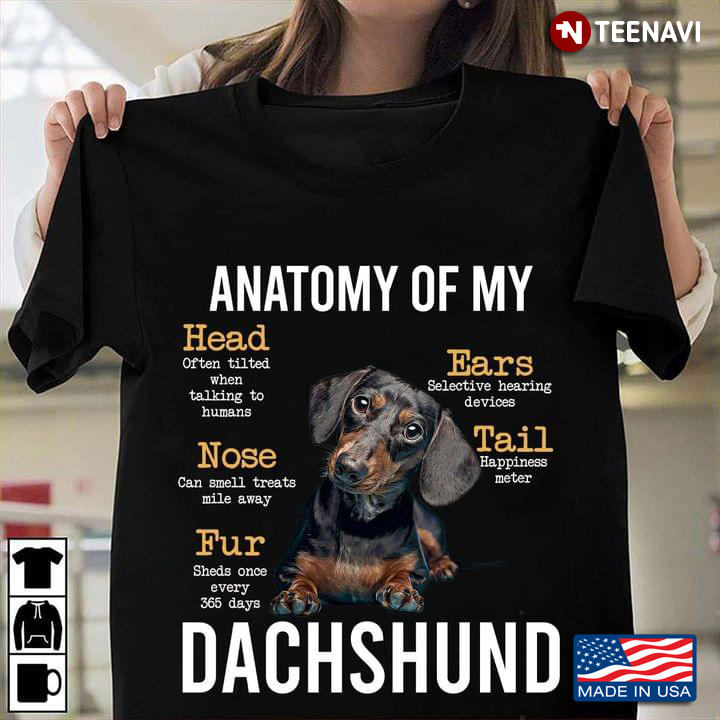 Dachshund Anatomy Of My Head Often Tilted When Talking To Humans Nose Can Smell Treats Mile Away