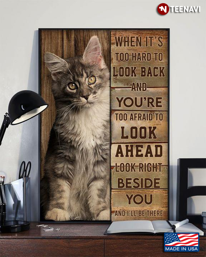 Vintage Maine Coon Kitten When It’s Too Hard To Look Back And You’re Too Afraid To Look Ahead