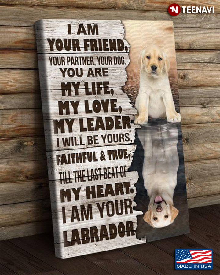 Vintage Labrador Retriever Dogs Water Reflection I Am Your Friend, Your Partner, Your Dog