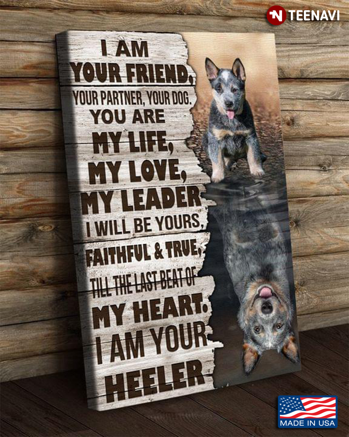 Vintage Heeler Dogs Water Reflection I Am Your Friend, Your Partner, Your Dog