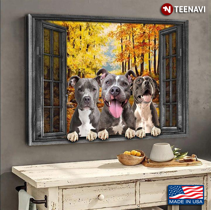 Vintage Window Frame With Three Little Grey Pitbull Dogs In Yellow Autumn Forest