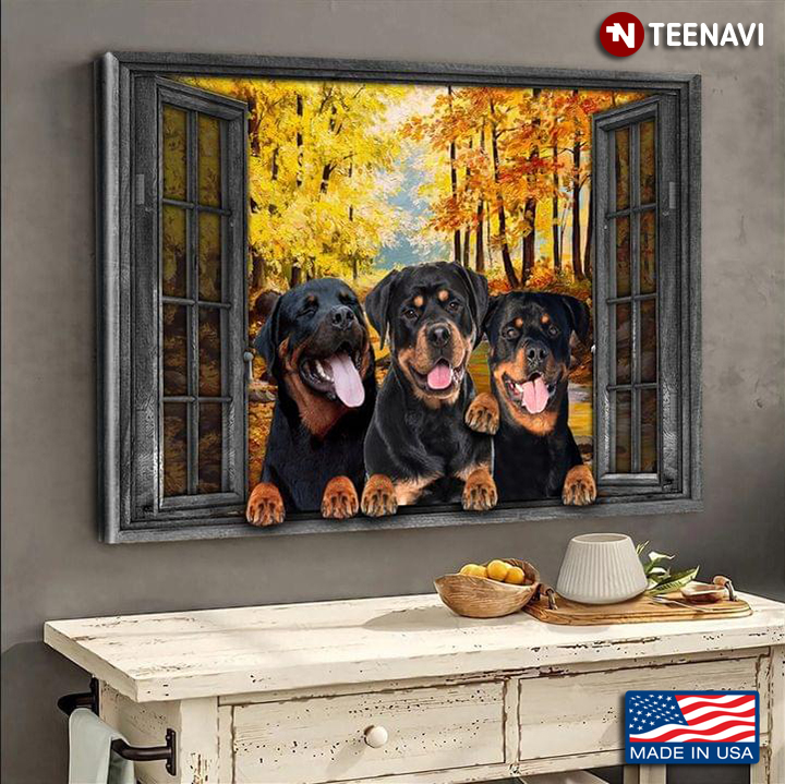 Vintage Window Frame With Three Little Rottweiler Dogs In Yellow Autumn Forest