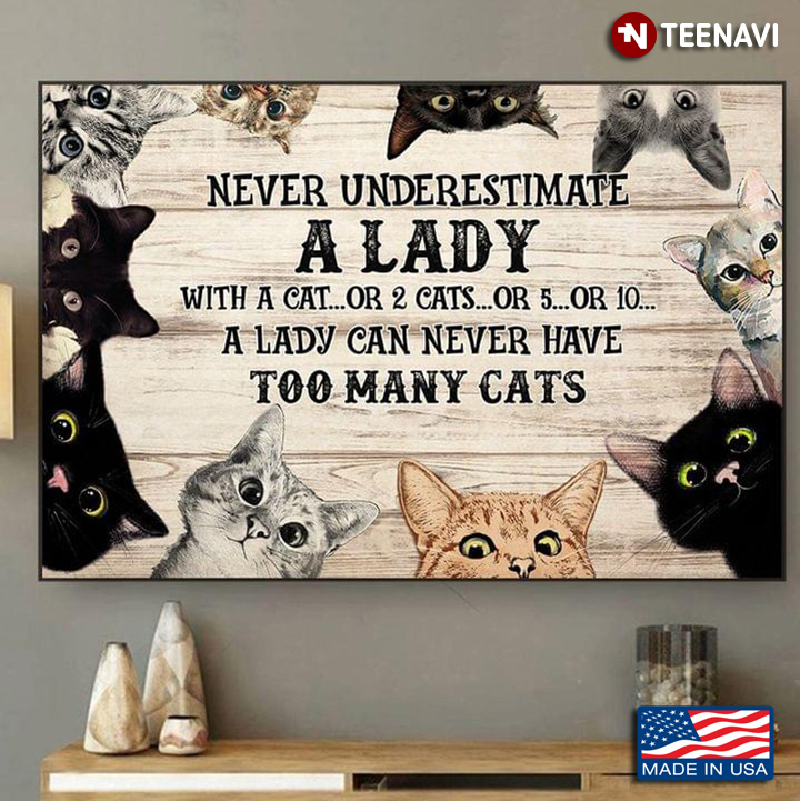 Vintage Never Underestimate A Lady With A Cat Or 2 Cats Or 5 Or 10 A Lady Can Never Have Too Many Cats