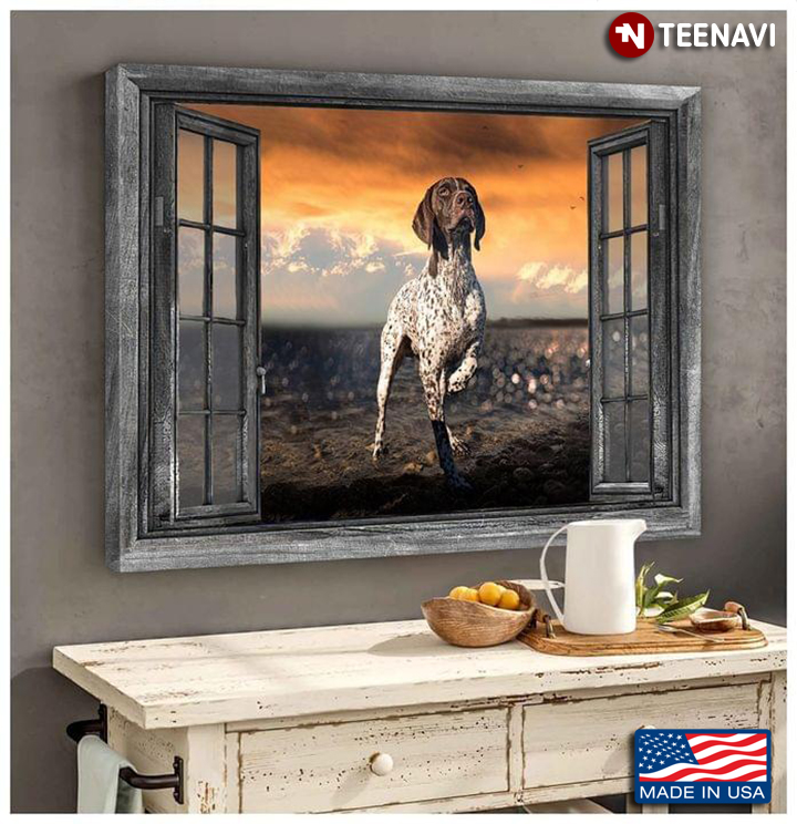 Vintage Window Frame With German Shorthaired Pointer Dog Outside