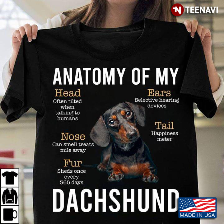 Dachshund Anatomy Of My Head Often Tilted When Talking To Humans Ears Selective Hearing Devices Nose