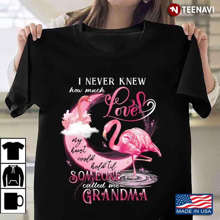 Flamingo I Never Knew How Much Love My Heart Could Hold Til Someone Called Me Grandma New Version