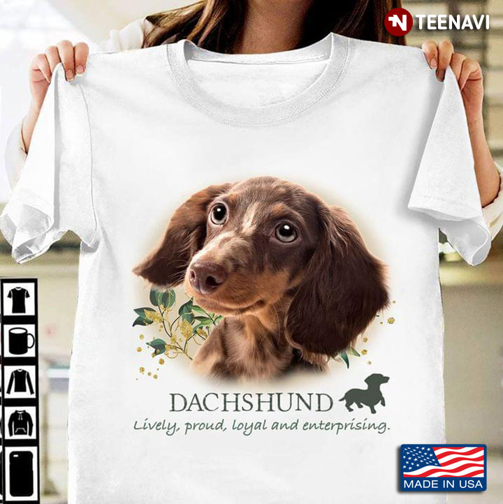Dachshund Lively Proud Loyal And Enterprising