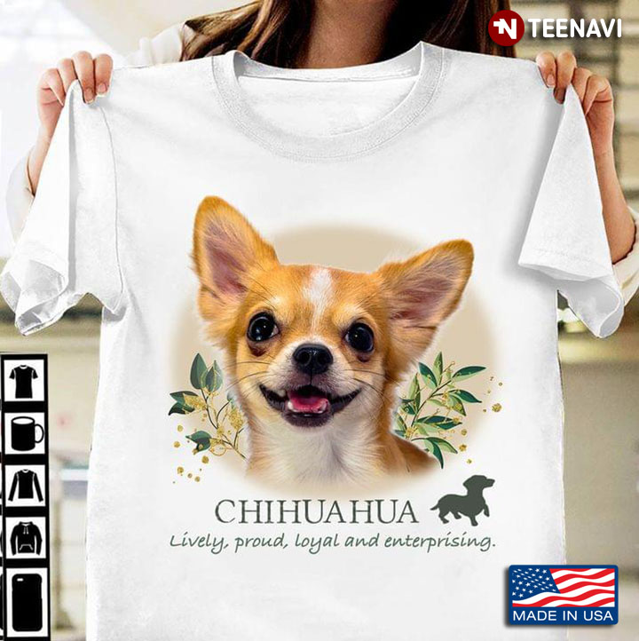 Chihuahua Lively Proud Loyal And Enterprising