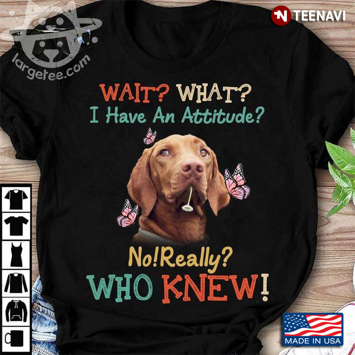 Wait What I Have An Attitude No Really Who Knew Vizsla And Butterflies