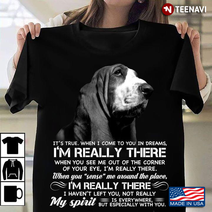 Basset Hound It's True When I Come To You In Dreams I'm Really There When You See Me Out Of The