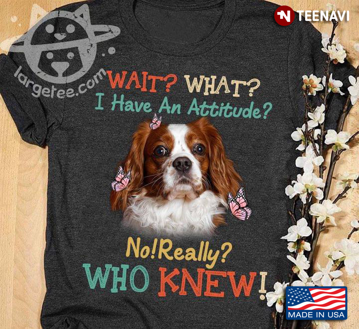 Wait What I Have An Attitude No Really Who Knew Cavalier King Charles Spaniel And Butterflies