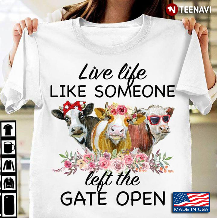 Three Heifers Live Life Like Someone Left The Gate Open