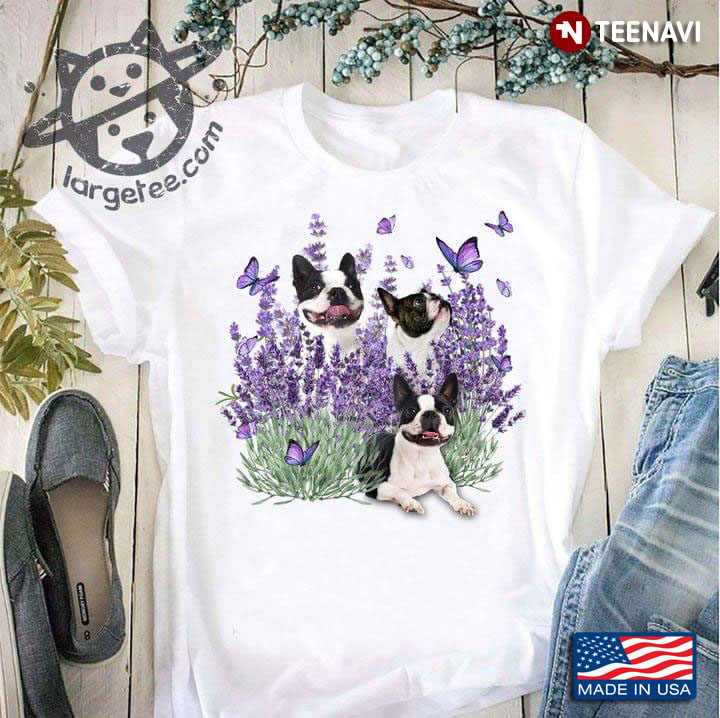 Boston Terrier Butterflies And Lavender