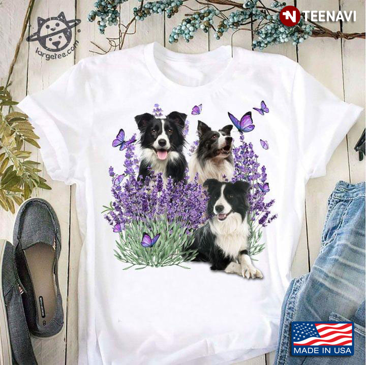 Three Border Collies Butterflies And Lavender