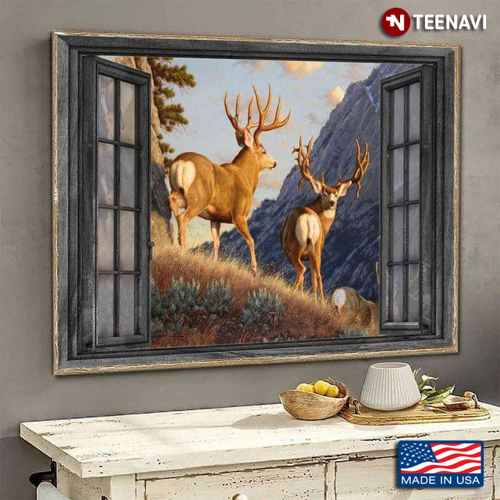 Vintage Window Frame With Mule Deers In The Rocky Mountain