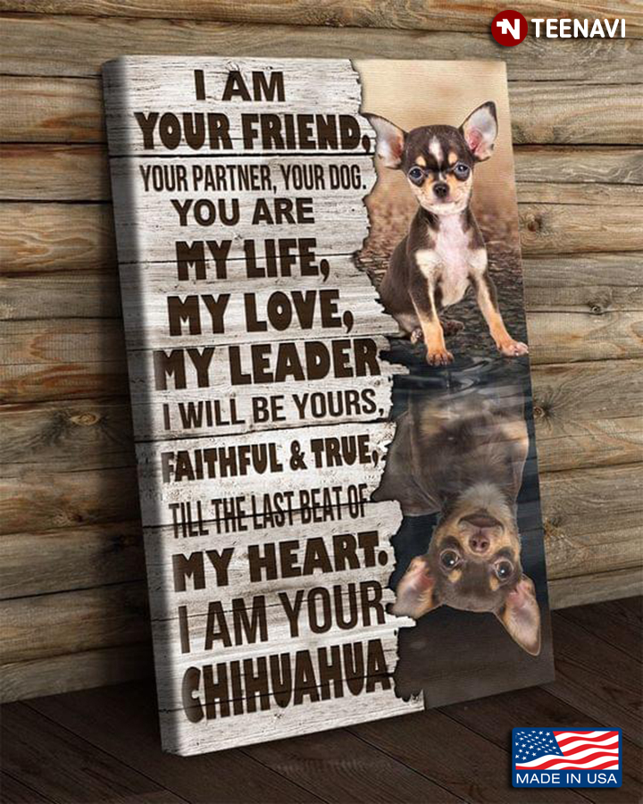 Vintage Chihuahua Dogs Water Reflection I Am Your Friend, Your Partner, Your Dog
