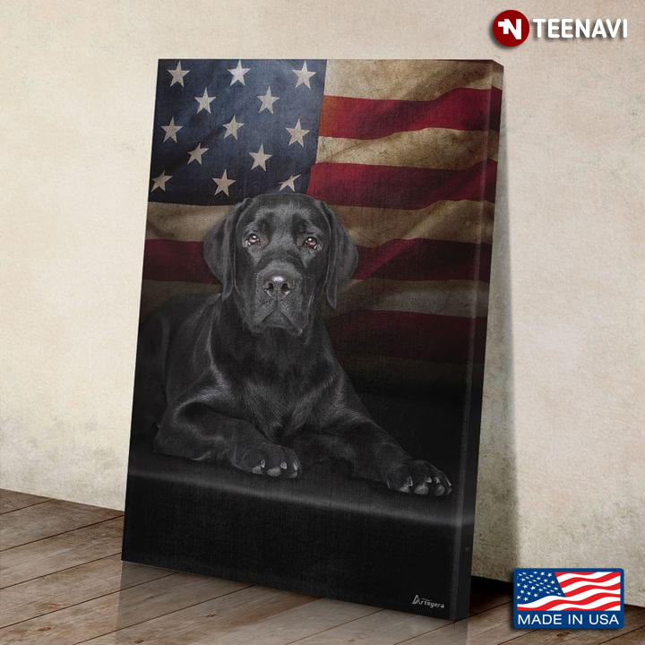 Black Theme Independence Day Black Labrador Retriever Dog And American Flag