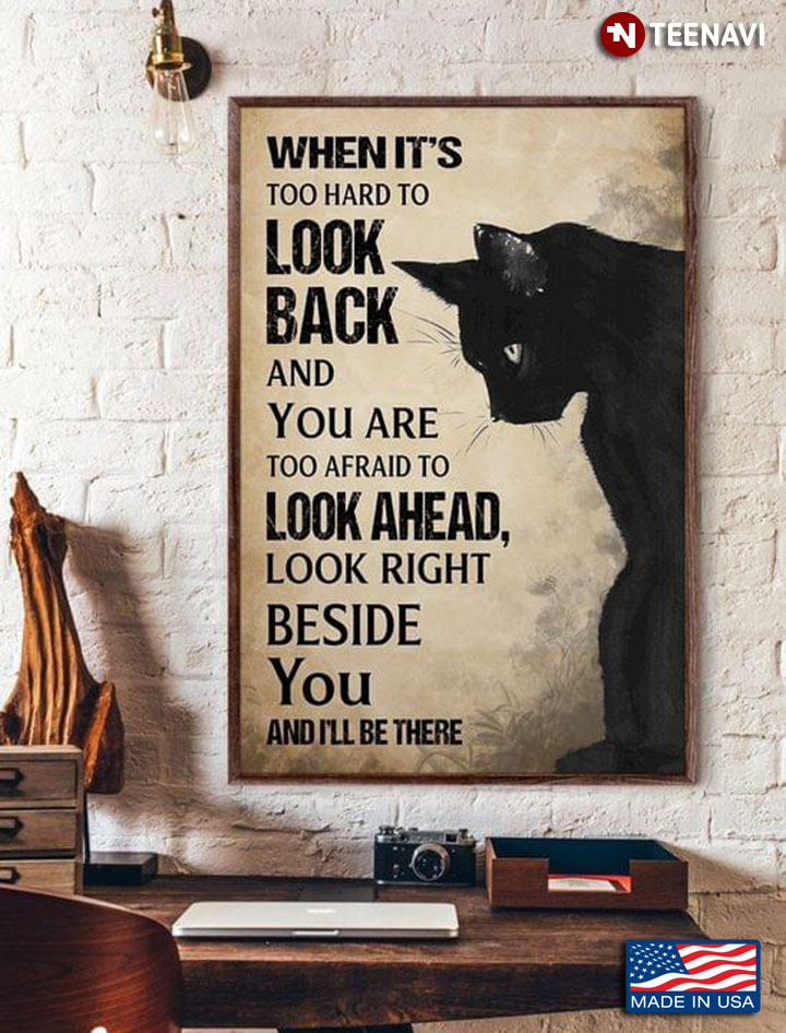 Black & White Theme Black Cat When It’s Too Hard To Look Back And You Are Too Afraid To Look Ahead