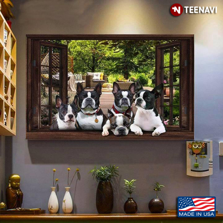 Vintage Window Frame With Five Boston Terrier Puppies In The Garden