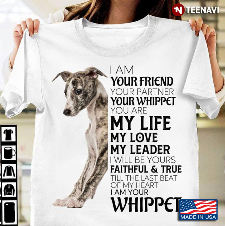 I Am Your Friend Your Partner Your Whippet  You Are My Life My Love My Leader