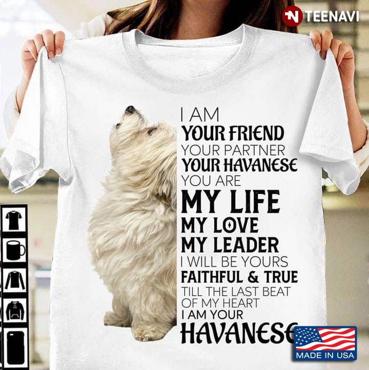 I Am Your Friend Your Partner Your Havanese   You Are My Life My Love My Leader
