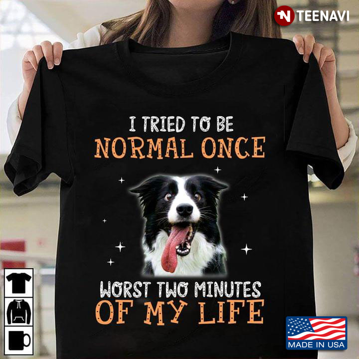 Border Collie I Tried To Be Normal Once Worst Two Minutes Of My Life