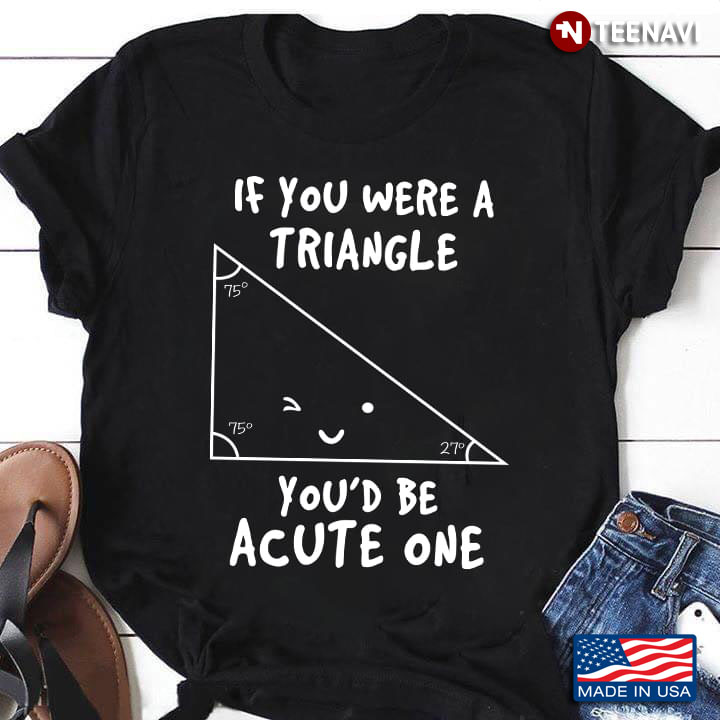 If You Were A Triangle You'd Be Acute One