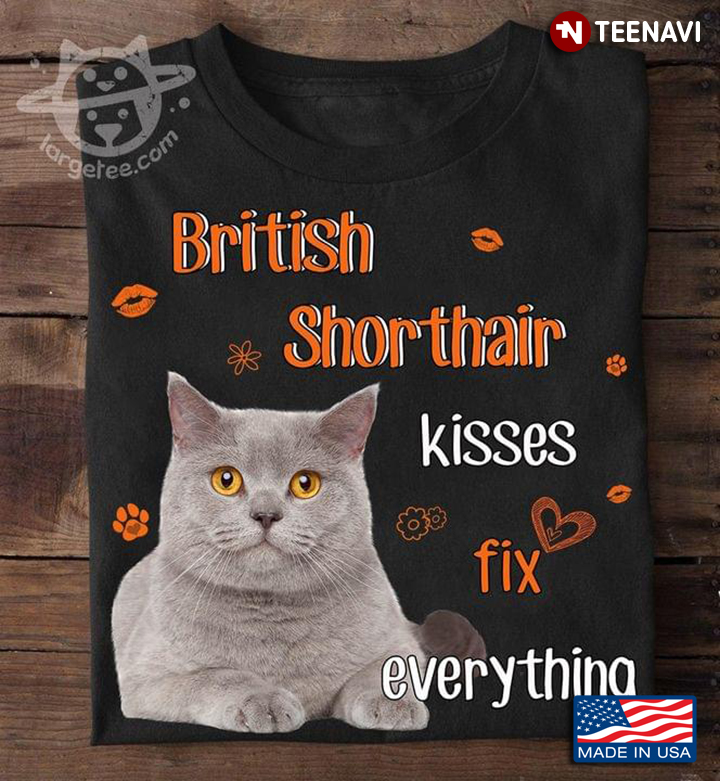British Shorthair Kisses Fix Everything