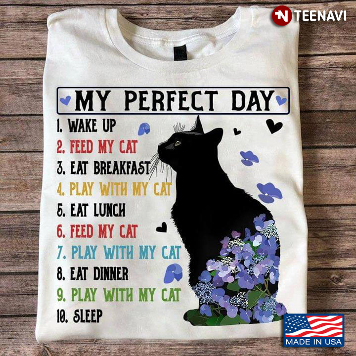 My Perfect Day Wake Up Feed My Cat Eat Breakfast Play With My Cat Eat Lunch Fees My Cat