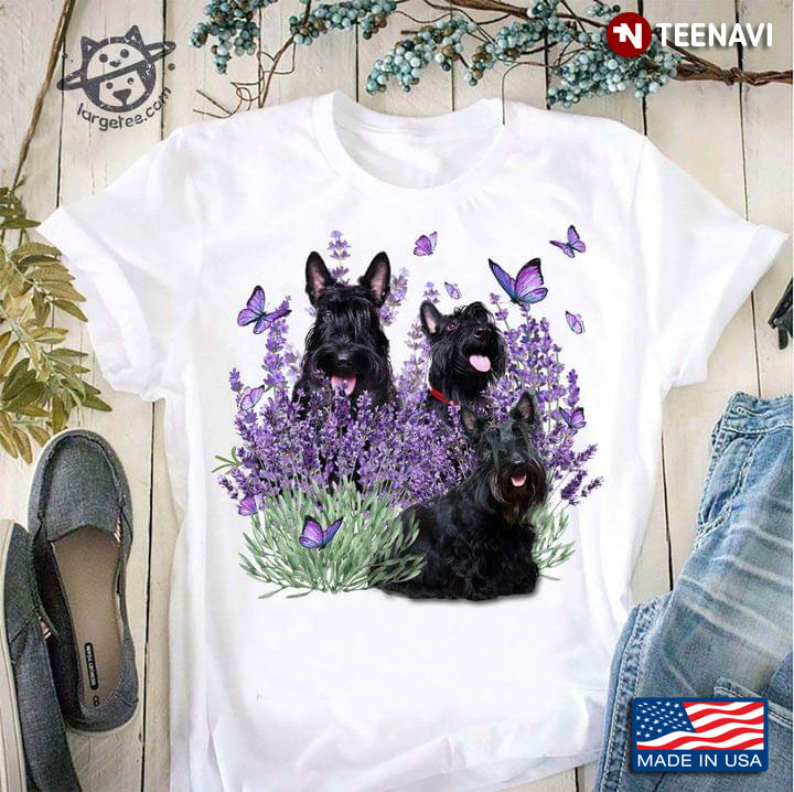 Three Scottish Terriers Butterflies And Lavender