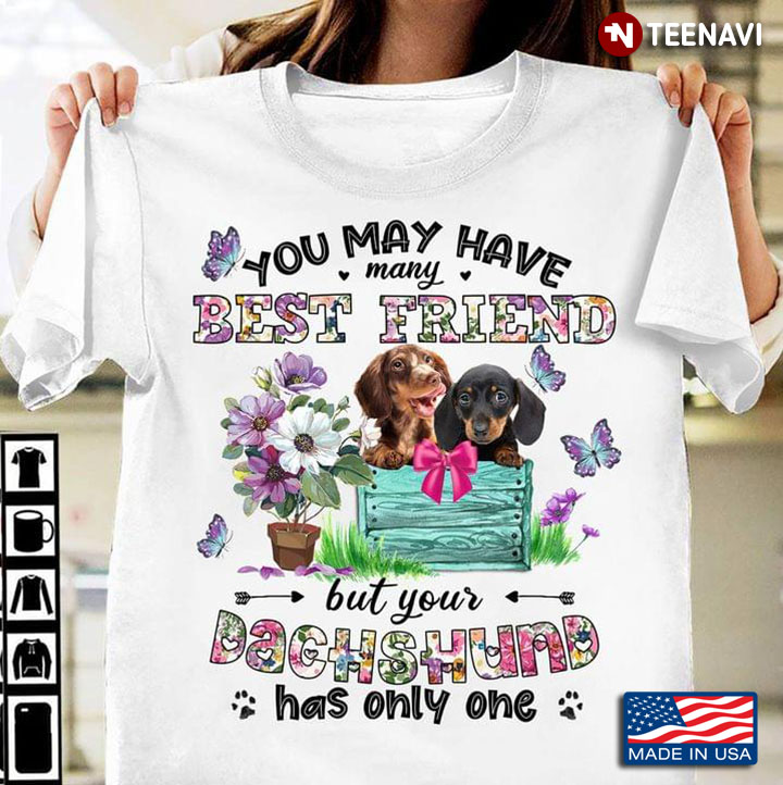 You May Have Many Best Friend But Your Dachshund Has Only One