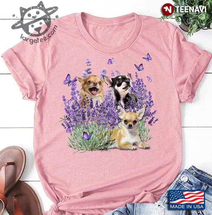 Three Chihuahuas Butterflies And Lavender