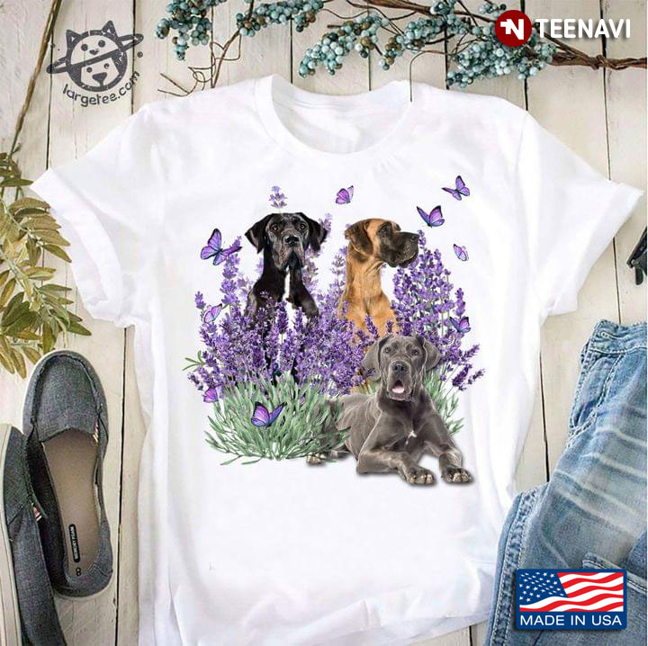 Three Great Dane Dogs Butterflies And Lavender