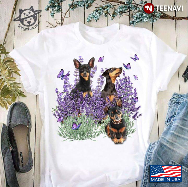 Three Lancashire Heelers Butterflies And Lavender