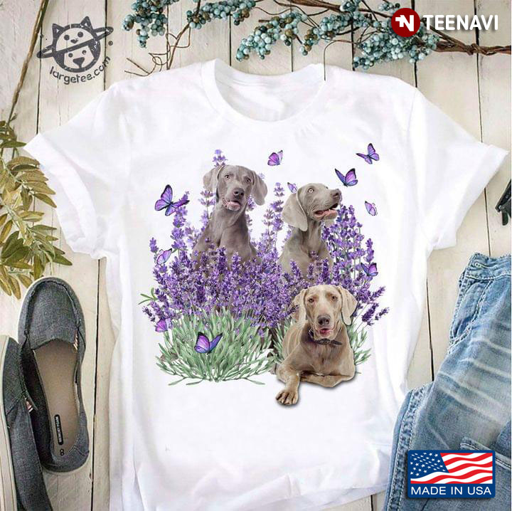 Three Weimaraner Dogs Butterflies Lavender