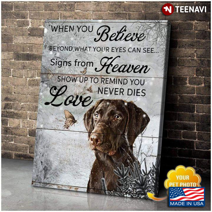Chocolate Labrador Retriever Dog & Butterflies In Snow When You Believe Beyond What Your Eyes Can See