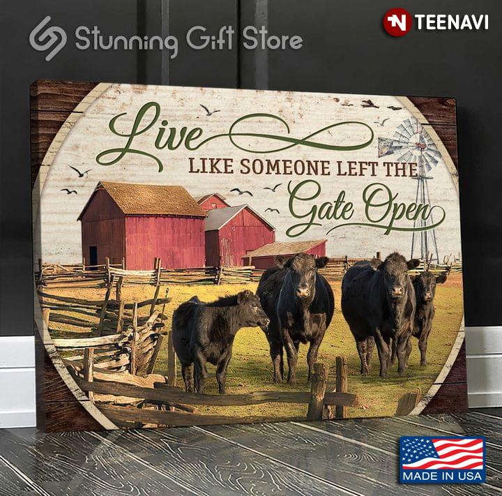 Vintage Black Cows On Farm Live Like Someone Left The Gate Open