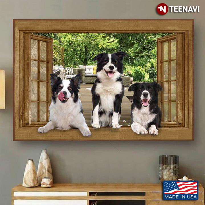 Vintage Window Frame With Three Border Collie Dogs In The Garden