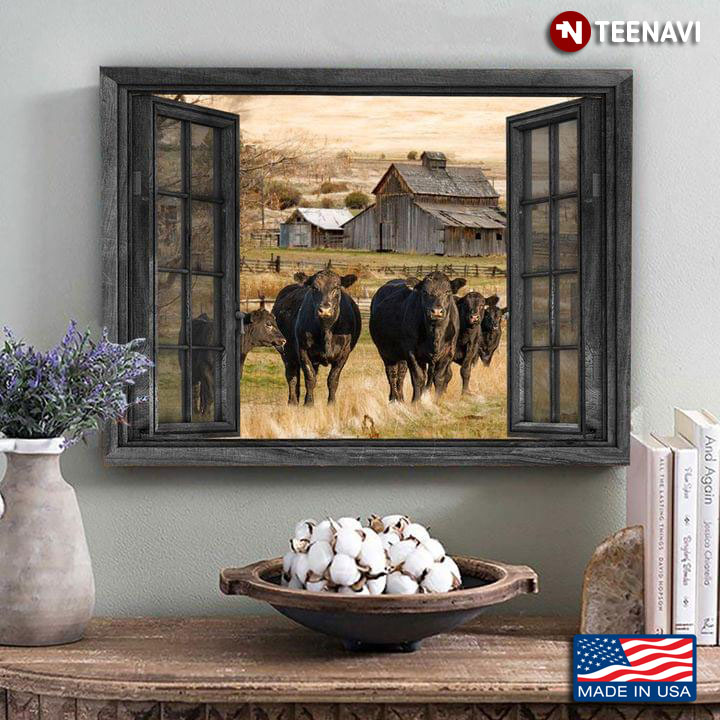 Vintage Window Frame With Black Cows Outside