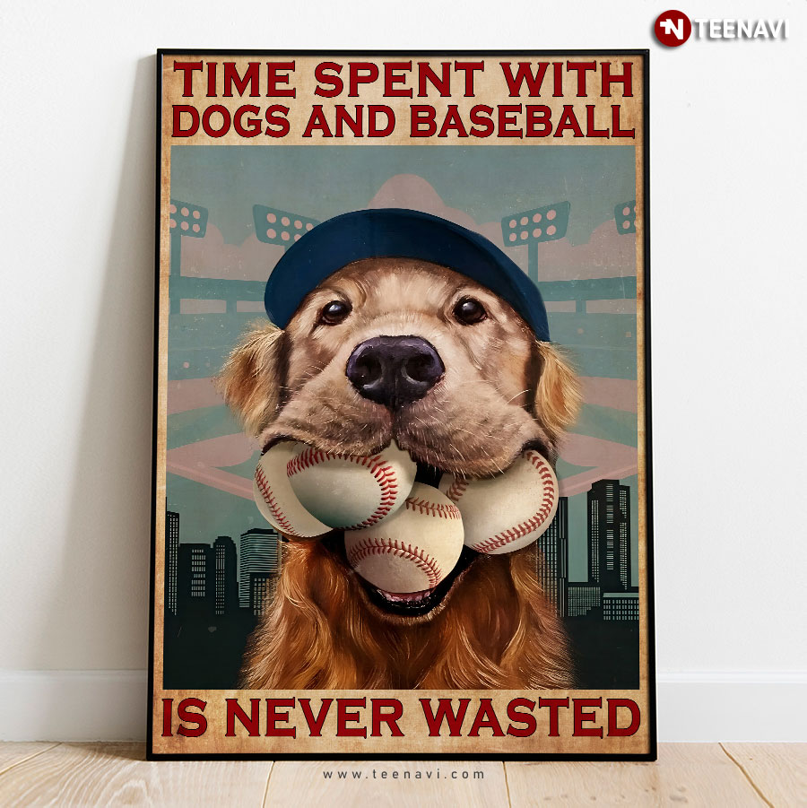 Vintage Golden Retriever With Baseball Balls In His Mouth Time Spent With Dogs And Baseball Is Never Wasted Poster