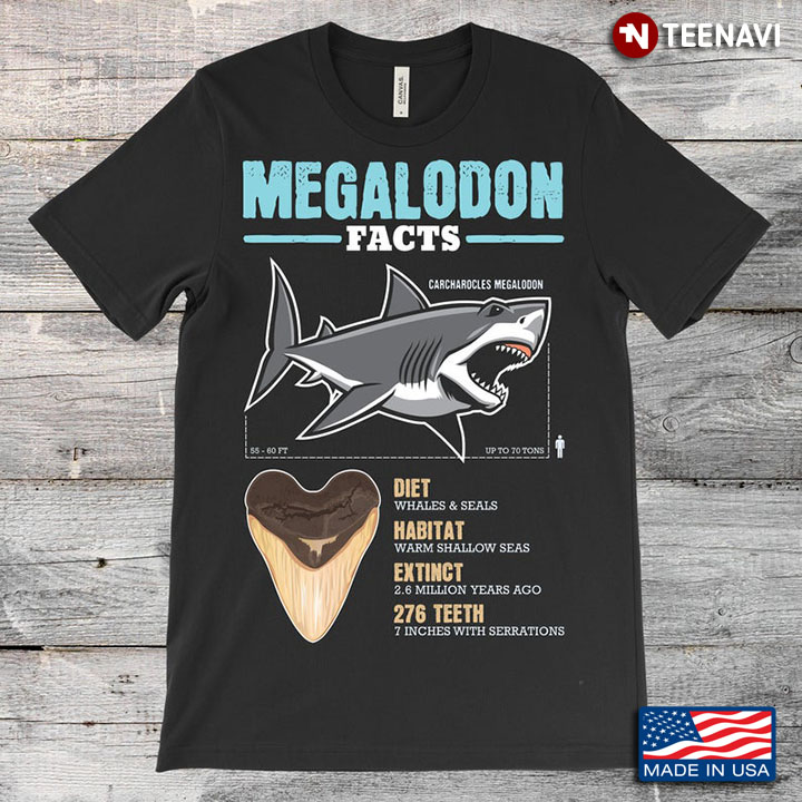 Megalodon Facts Information for Marine Animal Lovers