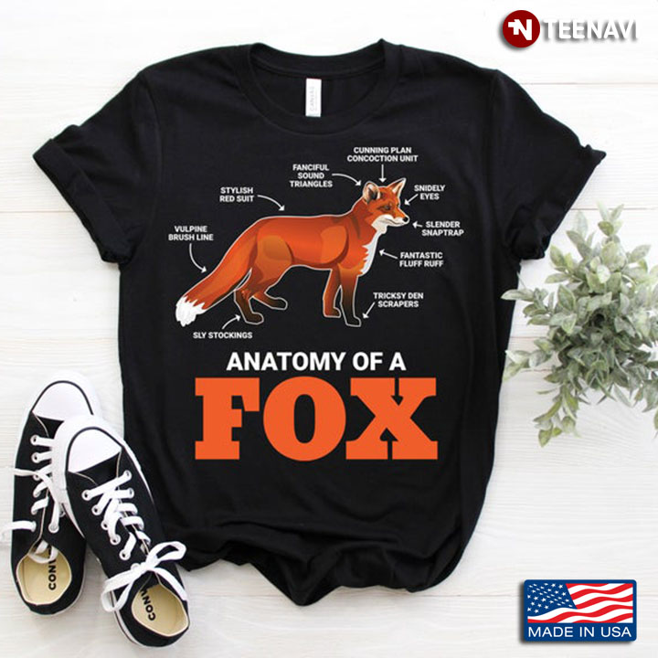 Anatomy of A Fox Body Part Imformation in Details for Animal Lovers