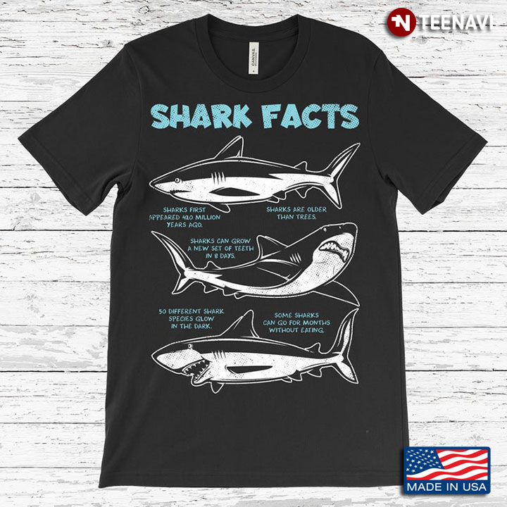 Shark Facts Useful Information for Marine Animal Lovers