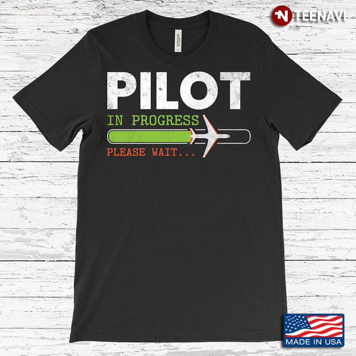 Pilot In Progress Please Wait Airplane Loading Mode for Pilots