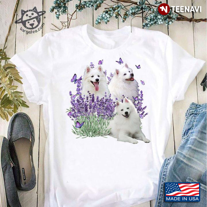 Samoyed Puppies Purple Butterlies and Lavender Flowers for Dog Lover
