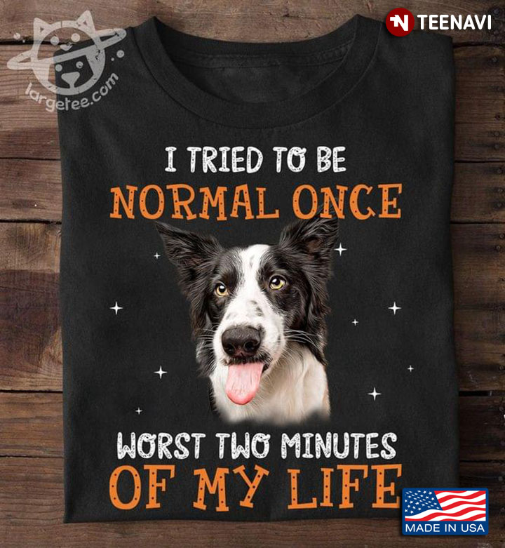 I Tried To Be Normal Once Worst Two Minutes Of My Life Cute Border Collie