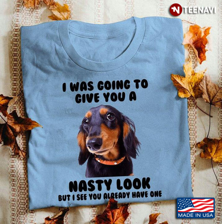 I Was Going To Give You A Nasty Look But I See You Already Have One for Dog Lover