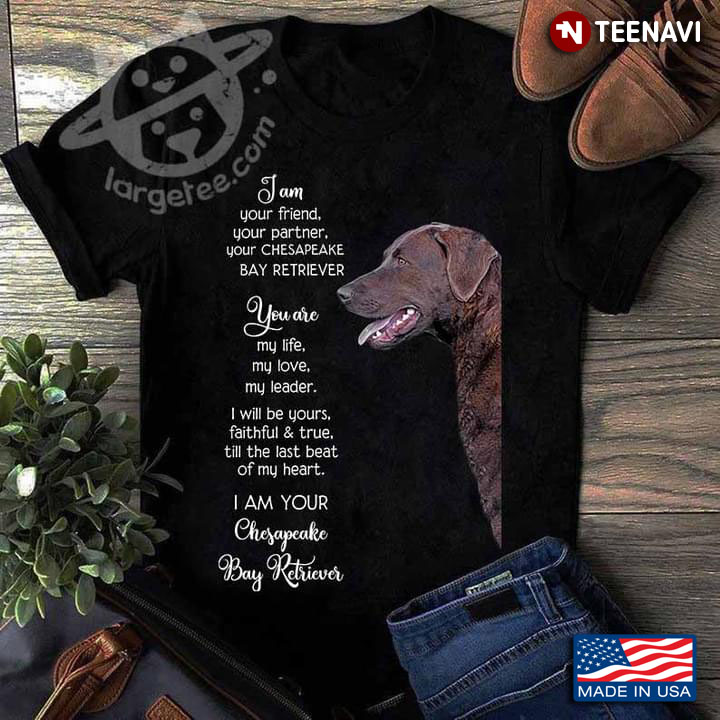 I Am Your Friend Your Partner Your Chesapeake Bay Retriever Meaningful for Dog Lover