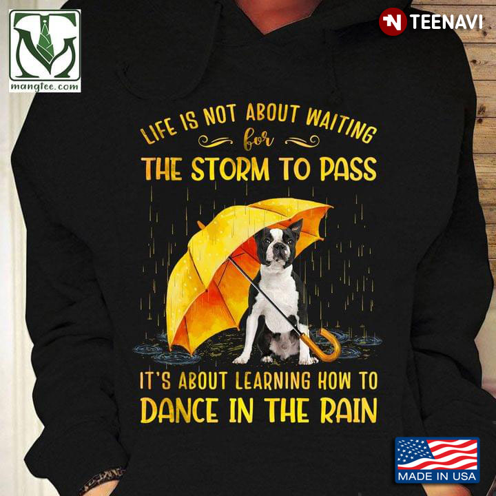 Border Collie Life Is Not About Waiting The Storm To Pass It's About Leaning How To Dance